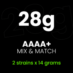 Mix & Match AAAA+ (2x14g)