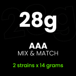 Mix & Match AAA (2x14g)