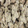 Blue Dream - Sativa - AAAA - Cannabis - Black Sheep Delivery