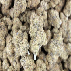 Blue Dream - Sativa - AAAA - Cannabis - Black Sheep Delivery