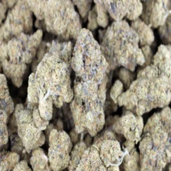 Blueberry - Hybrid - AAAA - Cannabis - Black Sheep Delivery