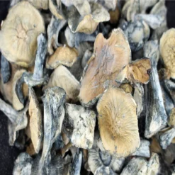 Great White North - Magic Mushrooms - Black Sheep Delivery