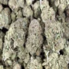 Pink Lindsay - Indica - AAA++ - Cannabis - Black Sheep Delivery