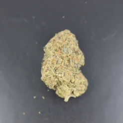 Weed Plant - Black Sheep Delivery