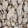 Power Plant - Sativa - AAAA+ - Cannabis - Black Sheep Delivery