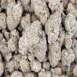Power Plant - Sativa - AAAA+ - Cannabis - Black Sheep Delivery