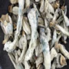 Unicorn Tears - Magic Mushrooms - Black Sheep Delivery