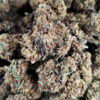 Gelato Weed - Black Sheep Delivery