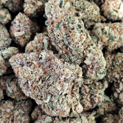 Miraclealiencookies Weed - Black Sheep Delivery