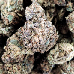 Pinkcookies Weed - Black Sheep Delivery