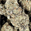 Pinkdeath Weed - Black Sheep Delivery