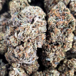 Pinkrockstar Weed - Black Sheep Delivery