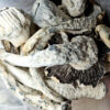 Thrasher - Magic Mushrooms - Black Sheep Delivery