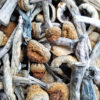 Blue Meanies - Magic Mushrooms - Black Sheep Delivery