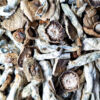 Melmac - Magic Mushrooms - Black Sheep Delivery