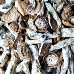 Melmac - Magic Mushrooms - Black Sheep Delivery
