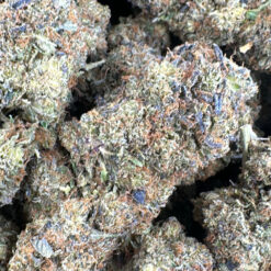 pink-panies - Black Sheep Delivery