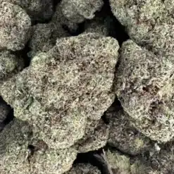 Exotic Gas 2 - Hybrid - AAAA+ - Black Sheep Delivery