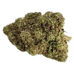 Exotic Gas - Hybrid - AAAA+ - Black Sheep Delivery