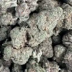 Grape Crush 2 - Indica - AAA - Black Sheep Delivery