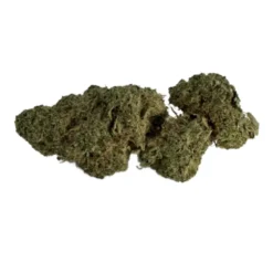 Grape Crush - Indica - AAA - Black Sheep Delivery