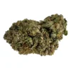 Motor Milk - Hybrid - AAA++ - Black Sheep Delivery