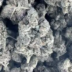 Pink Diablo 2 - Indica - AAAA - Black Sheep Delivery