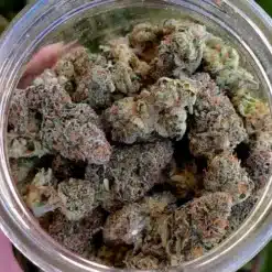 Cannabis