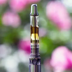 Vape Pens